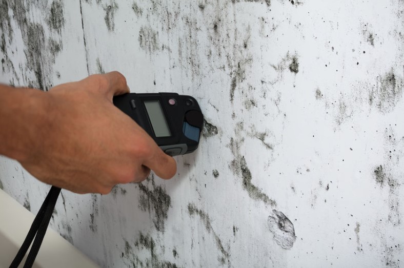 Why You Should Get Mold Testing Done